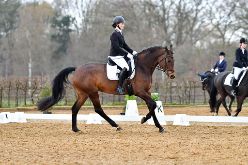 Reitsportzentrum Bremervörde | 170421 Dressurreiter A_217 