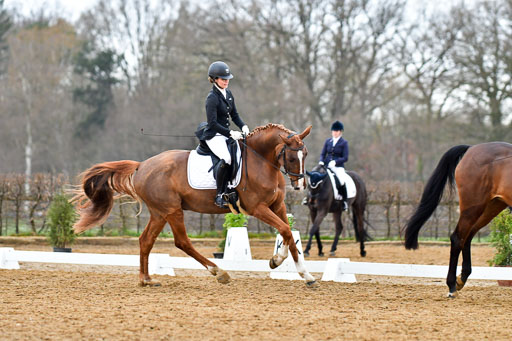 Reitsportzentrum Bremervörde | 170421 Dressurreiter A_218 