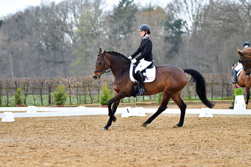 Reitsportzentrum Bremervörde | 170421 Dressurreiter A_219 