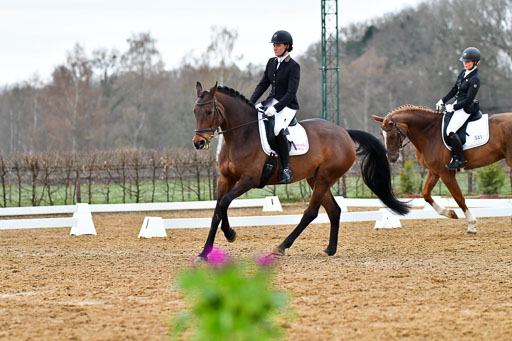 Reitsportzentrum Bremervörde | 170421 Dressurreiter A_220 