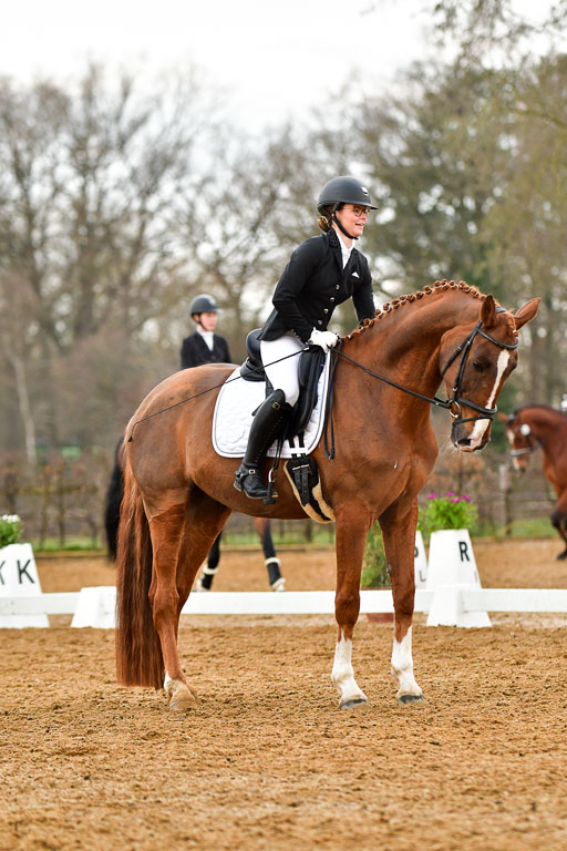 Reitsportzentrum Bremervörde | 170421 Dressurreiter A_221 