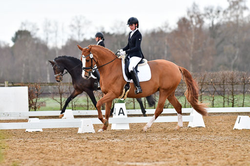 Reitsportzentrum Bremervörde | 170421 Dressurreiter A_223 