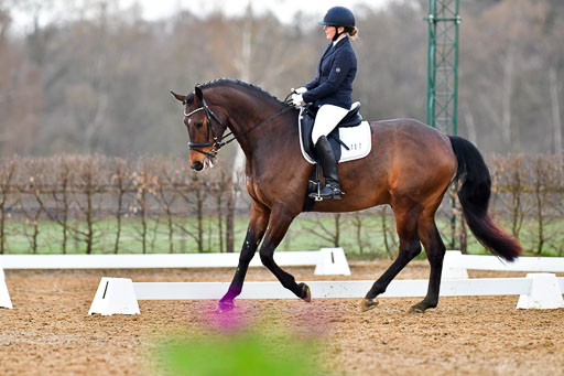 Reitsportzentrum Bremervörde | 170421 Dressurreiter A_225 
