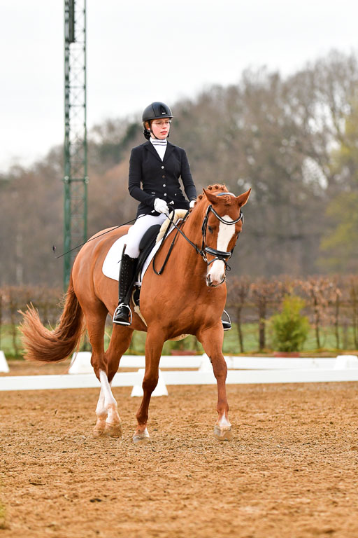 Reitsportzentrum Bremervörde | 170421 Dressurreiter A_226 