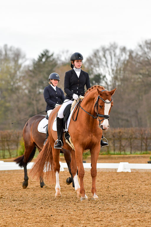 Reitsportzentrum Bremervörde | 170421 Dressurreiter A_227 