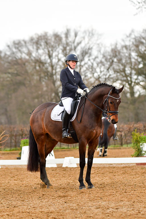 Reitsportzentrum Bremervörde | 170421 Dressurreiter A_228 