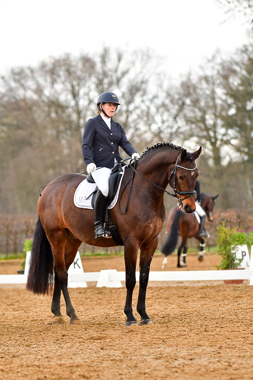 Reitsportzentrum Bremervörde | 170421 Dressurreiter A_229 