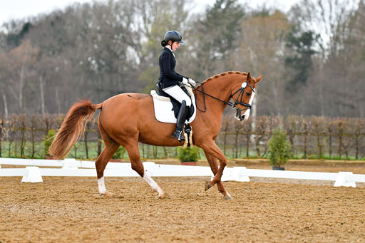 Reitsportzentrum Bremervörde | 170421 Dressurreiter A_230 