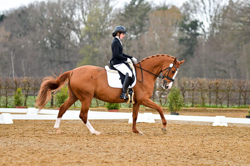 Reitsportzentrum Bremervörde | 170421 Dressurreiter A_231 