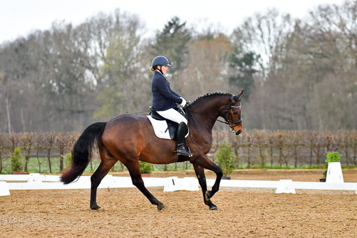 Reitsportzentrum Bremervörde | 170421 Dressurreiter A_233 