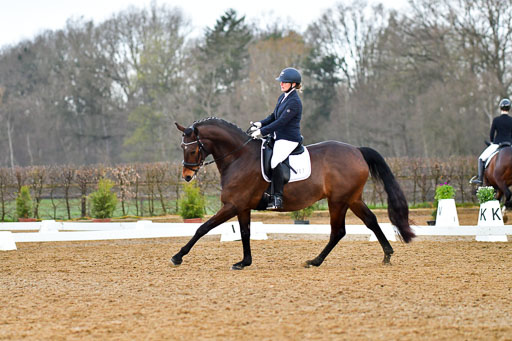 Reitsportzentrum Bremervörde | 170421 Dressurreiter A_238 