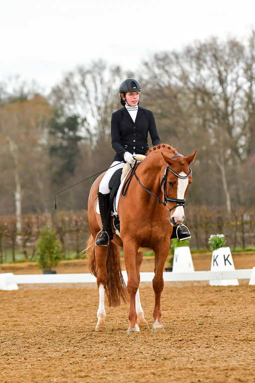 Reitsportzentrum Bremervörde | 170421 Dressurreiter A_241 