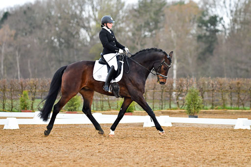 Reitsportzentrum Bremervörde | 170421 Dressurreiter A_249 