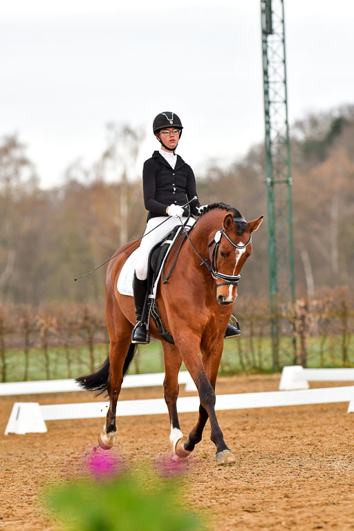 Reitsportzentrum Bremervörde | 170421 Dressurreiter A_250 