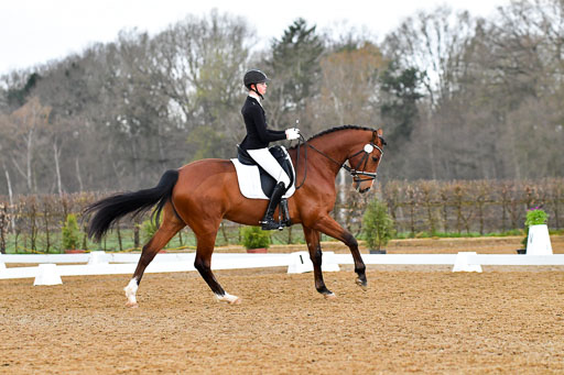 Reitsportzentrum Bremervörde | 170421 Dressurreiter A_256 