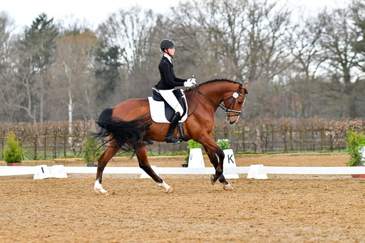 Reitsportzentrum Bremervörde | 170421 Dressurreiter A_257 
