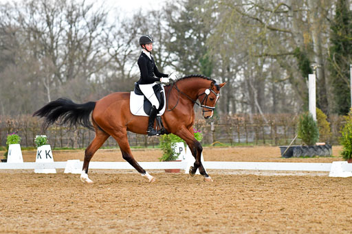 Reitsportzentrum Bremervörde | 170421 Dressurreiter A_258 