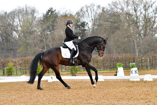 Reitsportzentrum Bremervörde | 170421 Dressurreiter A_259 