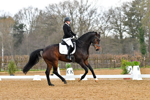 Reitsportzentrum Bremervörde | 170421 Dressurreiter A_260 