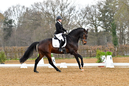 Reitsportzentrum Bremervörde | 170421 Dressurreiter A_261 