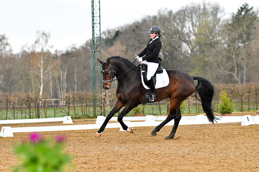 Reitsportzentrum Bremervörde | 170421 Dressurreiter A_264 