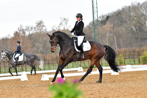 Reitsportzentrum Bremervörde | 170421 Dressurreiter A_265 