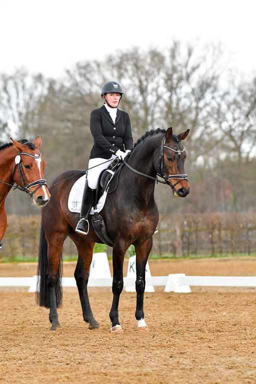 Reitsportzentrum Bremervörde | 170421 Dressurreiter A_268 