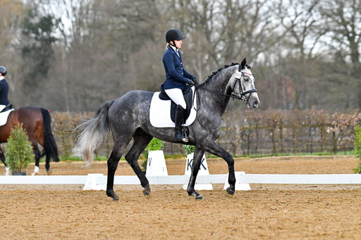 Reitsportzentrum Bremervörde | 170421 Dressurreiter A_269 