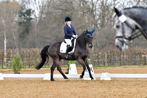 Reitsportzentrum Bremervörde | 170421 Dressurreiter A_271 