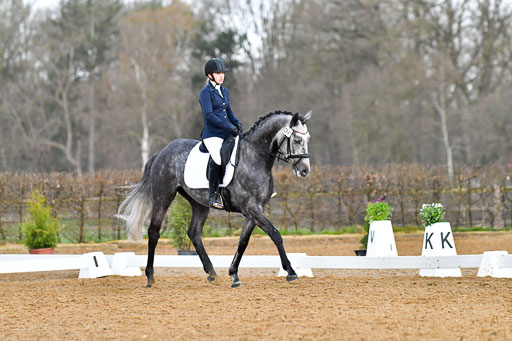 Reitsportzentrum Bremervörde | 170421 Dressurreiter A_272 