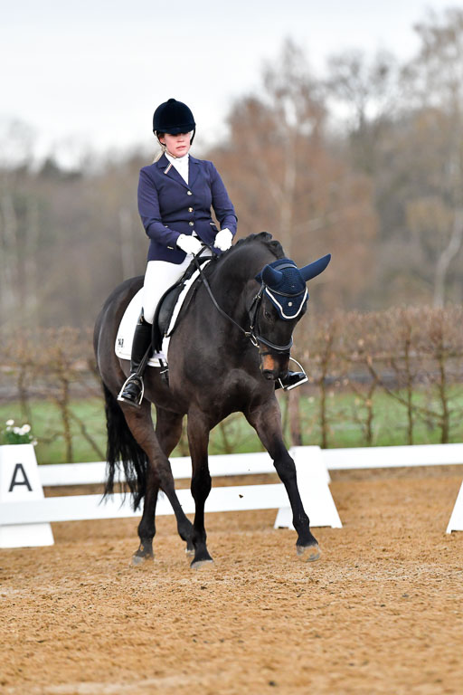 Reitsportzentrum Bremervörde | 170421 Dressurreiter A_273 