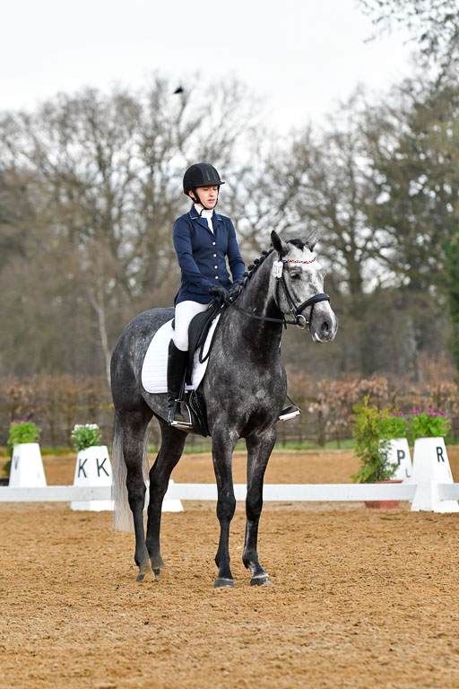 Reitsportzentrum Bremervörde | 170421 Dressurreiter A_274 