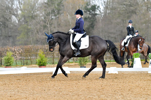 Reitsportzentrum Bremervörde | 170421 Dressurreiter A_280 
