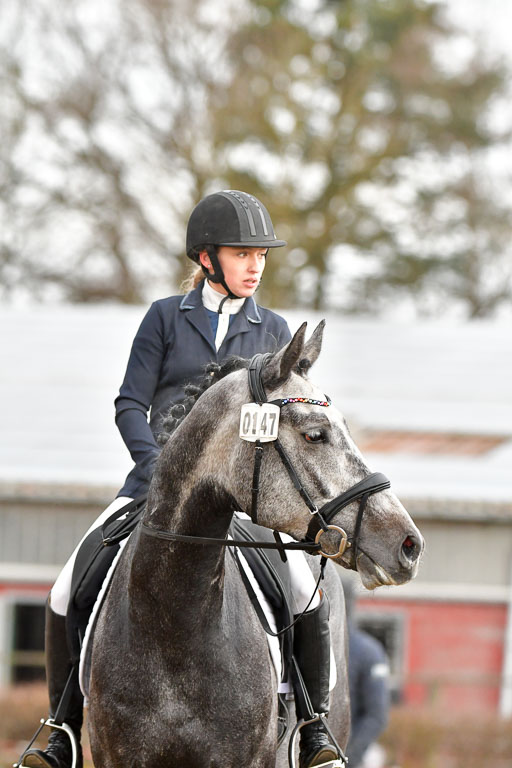 Reitsportzentrum Bremervörde | 170421 Dressurreiter A_283 