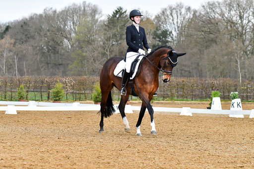 Reitsportzentrum Bremervörde | 170421 Dressurreiter A_290 