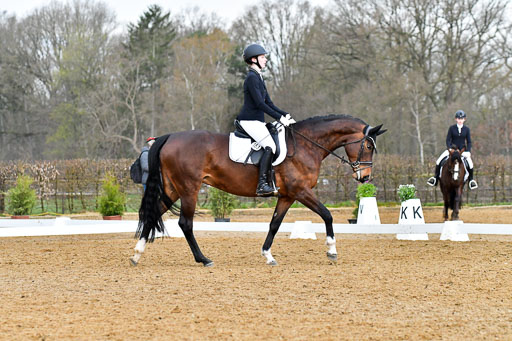 Reitsportzentrum Bremervörde | 170421 Dressurreiter A_291 
