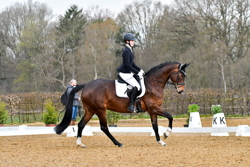 Reitsportzentrum Bremervörde | 170421 Dressurreiter A_292 