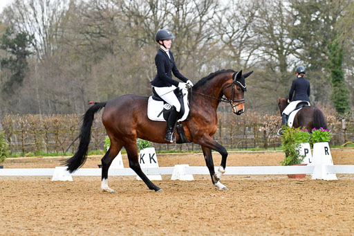Reitsportzentrum Bremervörde | 170421 Dressurreiter A_293 