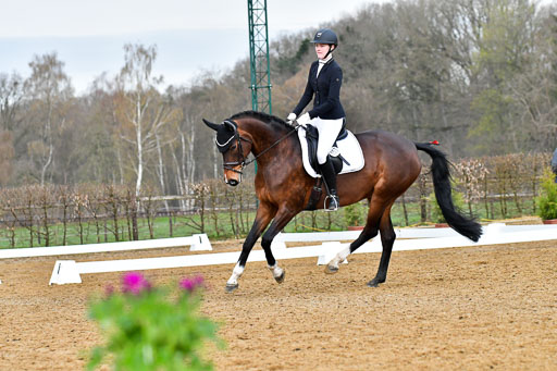 Reitsportzentrum Bremervörde | 170421 Dressurreiter A_295 
