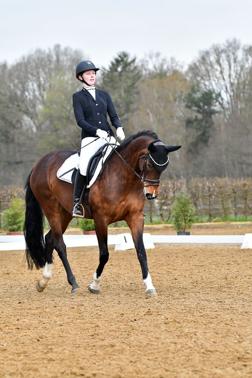 Reitsportzentrum Bremervörde | 170421 Dressurreiter A_298 