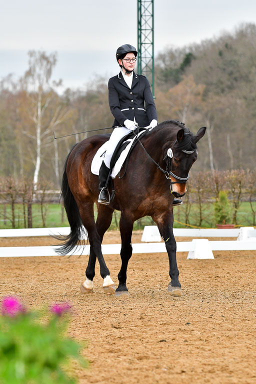 Reitsportzentrum Bremervörde | 170421 Dressurreiter A_305 