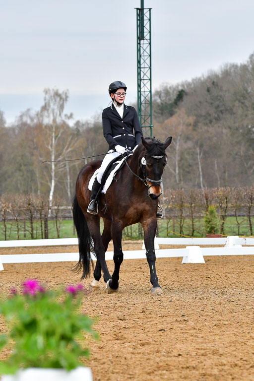 Reitsportzentrum Bremervörde | 170421 Dressurreiter A_315 