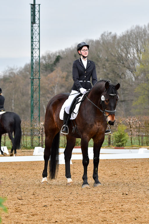 Reitsportzentrum Bremervörde | 170421 Dressurreiter A_316 