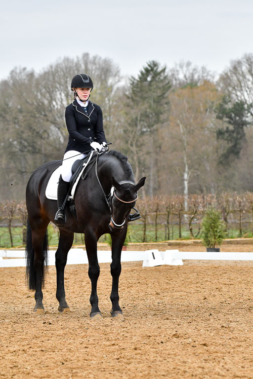 Reitsportzentrum Bremervörde | 170421 Dressurreiter A_320 