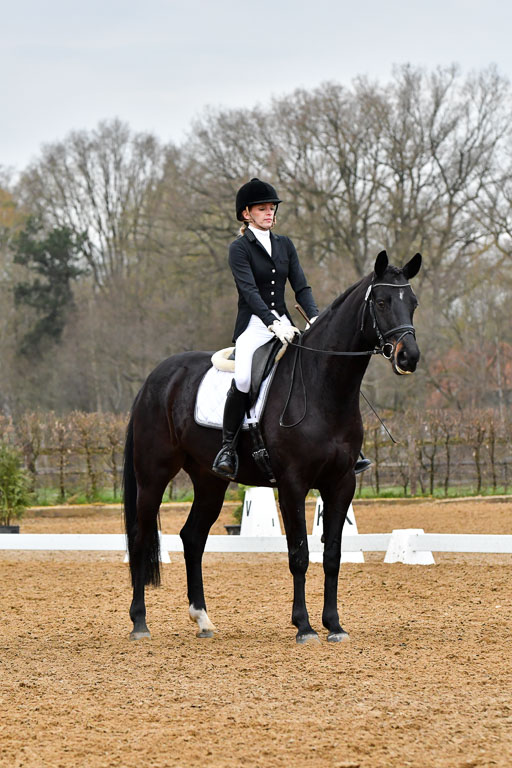 Reitsportzentrum Bremervörde | 170421 Dressurreiter A_321 