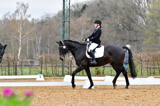 Reitsportzentrum Bremervörde | 170421 Dressurreiter A_323 