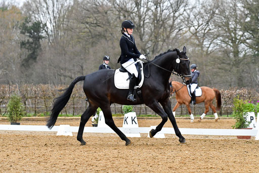 Reitsportzentrum Bremervörde | 170421 Dressurreiter A_326 