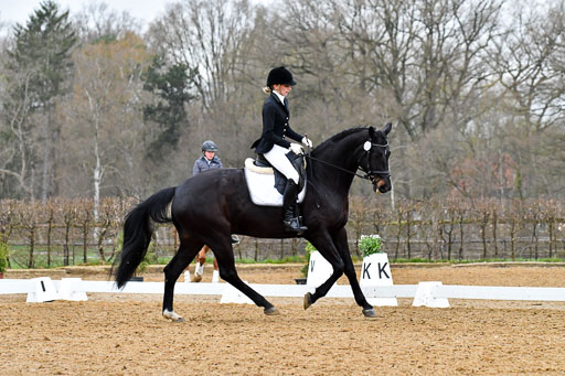 Reitsportzentrum Bremervörde | 170421 Dressurreiter A_328 