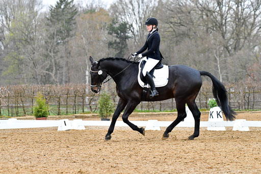 Reitsportzentrum Bremervörde | 170421 Dressurreiter A_329 