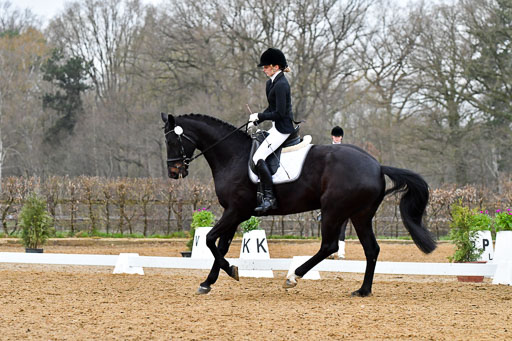 Reitsportzentrum Bremervörde | 170421 Dressurreiter A_331 